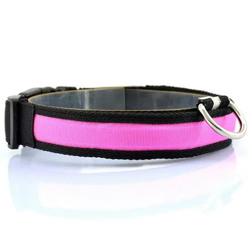 GlowGuard LED Dog Collar – Nighttime Safety in Style