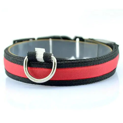 GlowGuard LED Dog Collar – Nighttime Safety in Style