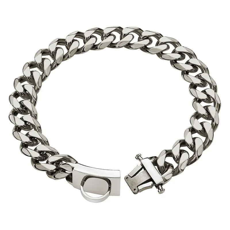 Stainless Steel Dog Leash and Collar for Medium/Large Dogs