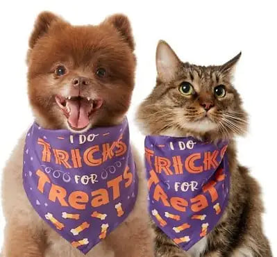 Cute Triangle Scarf for Pets - Funny Bib Towel