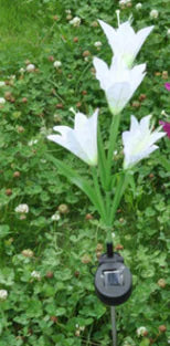 Solar Flower with Colorful Lily Design