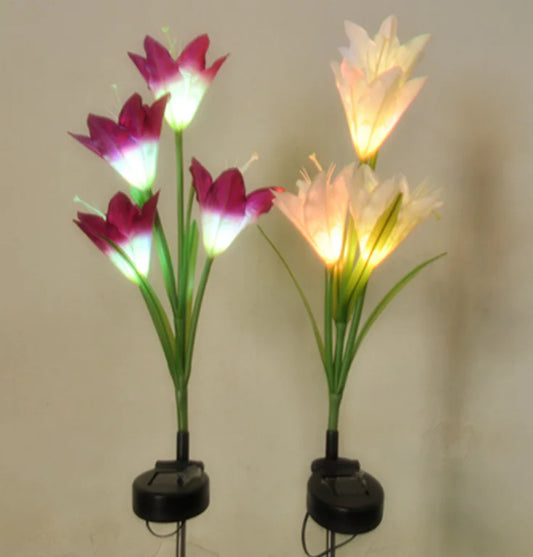 Solar Flower with Colorful Lily Design