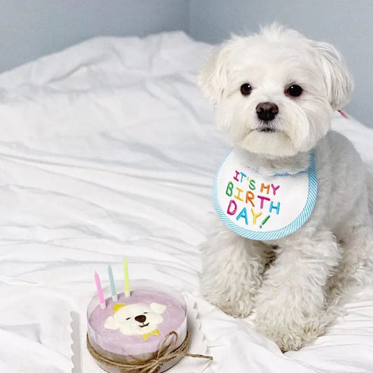 It's My Birthday Bib for Pet