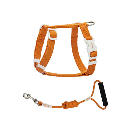 Pet Anti-Breakaway Traction Rope for Safety and Control