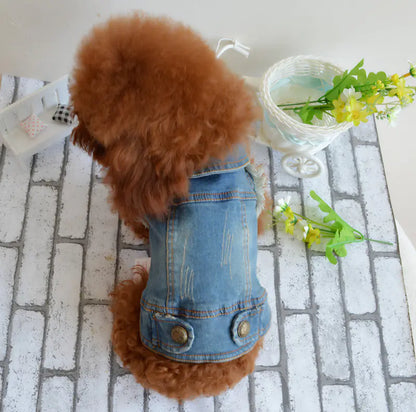 Vintage Denim Vest for Dogs - Teddy & Poodle Style