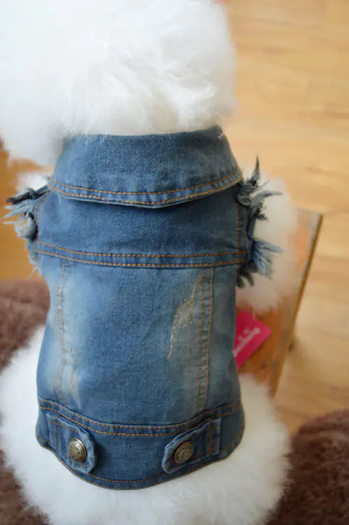 Vintage Denim Vest for Dogs - Teddy & Poodle Style