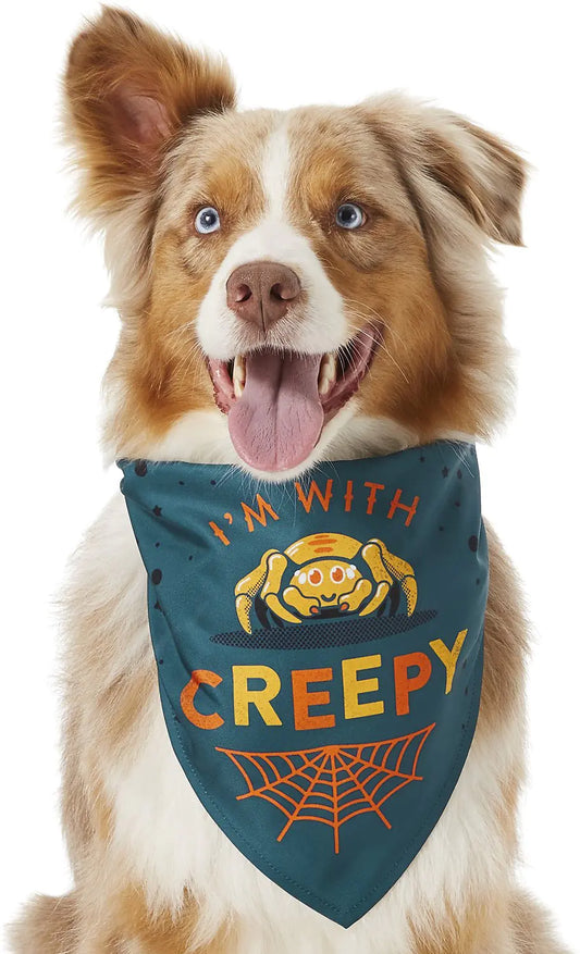 Cute Triangle Scarf for Pets - Funny Bib Towel