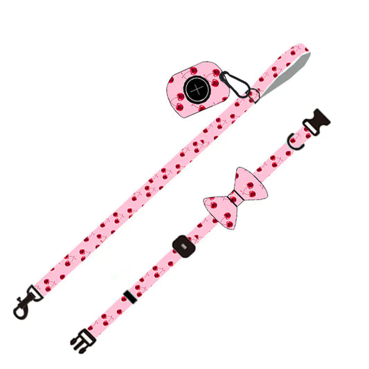 Dog Leash Set for Pets - Durable and Comfortable