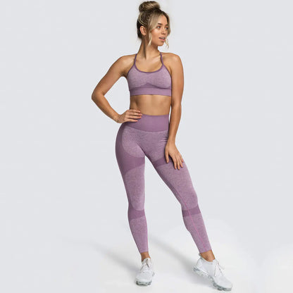 Women's Seamless Yoga Tank Top and Sports Bra Set