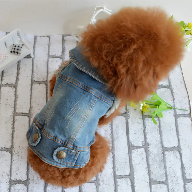 Vintage Denim Vest for Dogs - Teddy & Poodle Style