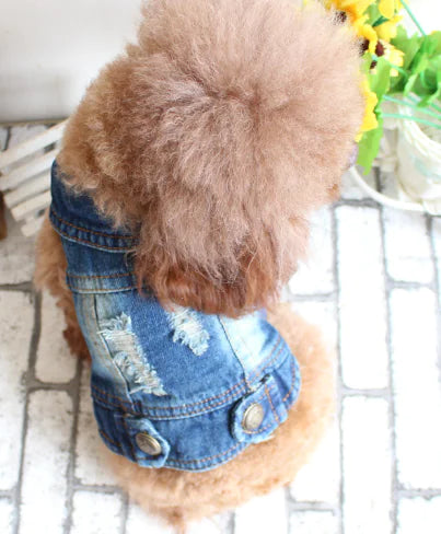 Ripped Denim Vest for Pets - Spring and Summer Wear