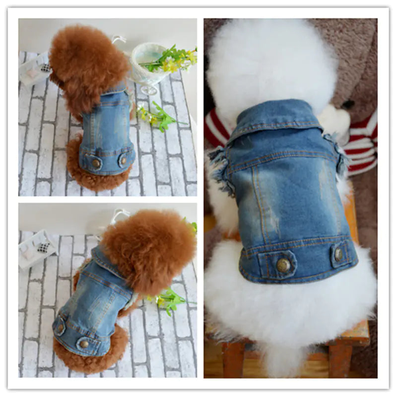 Vintage Denim Vest for Dogs - Teddy & Poodle Style