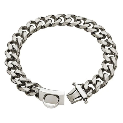 Stainless Steel Dog Leash and Collar for Medium/Large Dogs