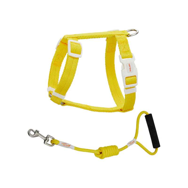 Pet Anti-Breakaway Traction Rope for Safety and Control