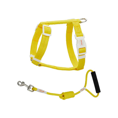 Pet Anti-Breakaway Traction Rope for Safety and Control