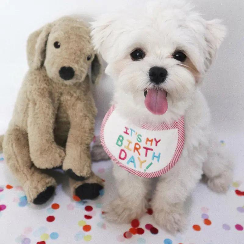 Embroidery Dog Bib and Saliva Towel for Pets
