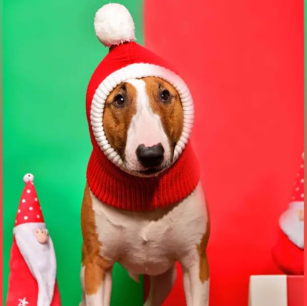 Simple Fashion Woolen Hat for Pets - Autumn/Winter