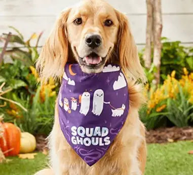 Cute Triangle Scarf for Pets - Funny Bib Towel