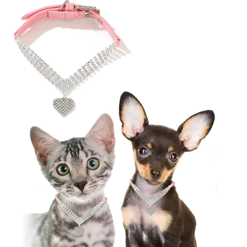 Fashionable Collar and Leash for Dogs and Cats