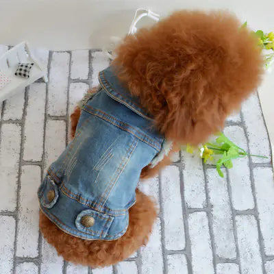 Vintage Denim Vest for Dogs - Teddy & Poodle Style