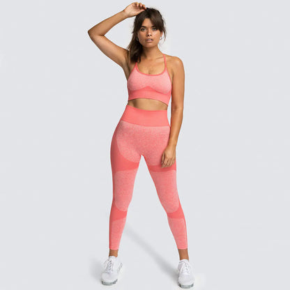 Women's Seamless Yoga Tank Top and Sports Bra Set