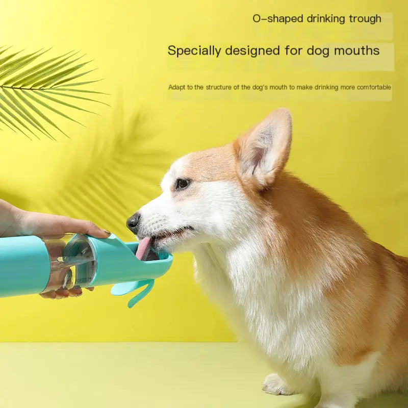 Travel Pup Hydration Bottle