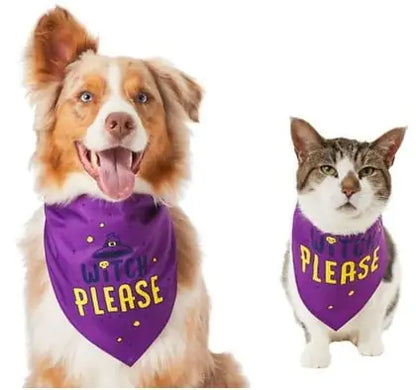 Cute Triangle Scarf for Pets - Funny Bib Towel
