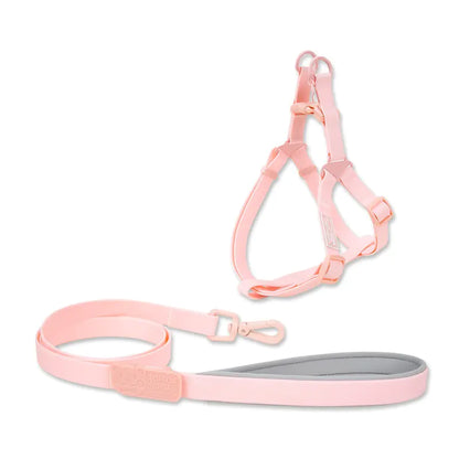 Waterproof Jelly Color PVC Pet Chest Back Collar