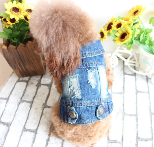 Ripped Denim Vest for Pets - Spring and Summer Wear